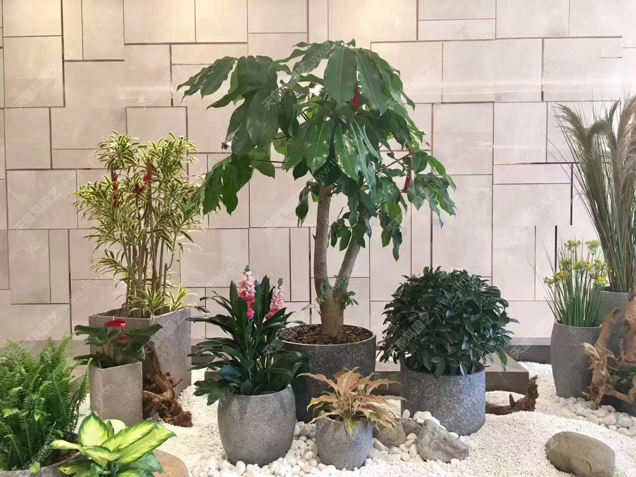 ��(ch��ng)������